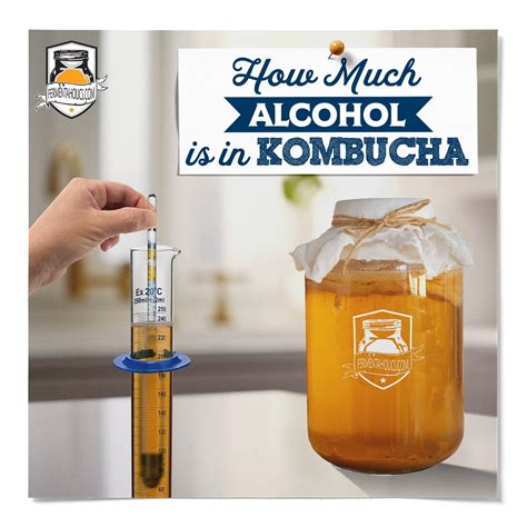 how much alcohol is in kombucha